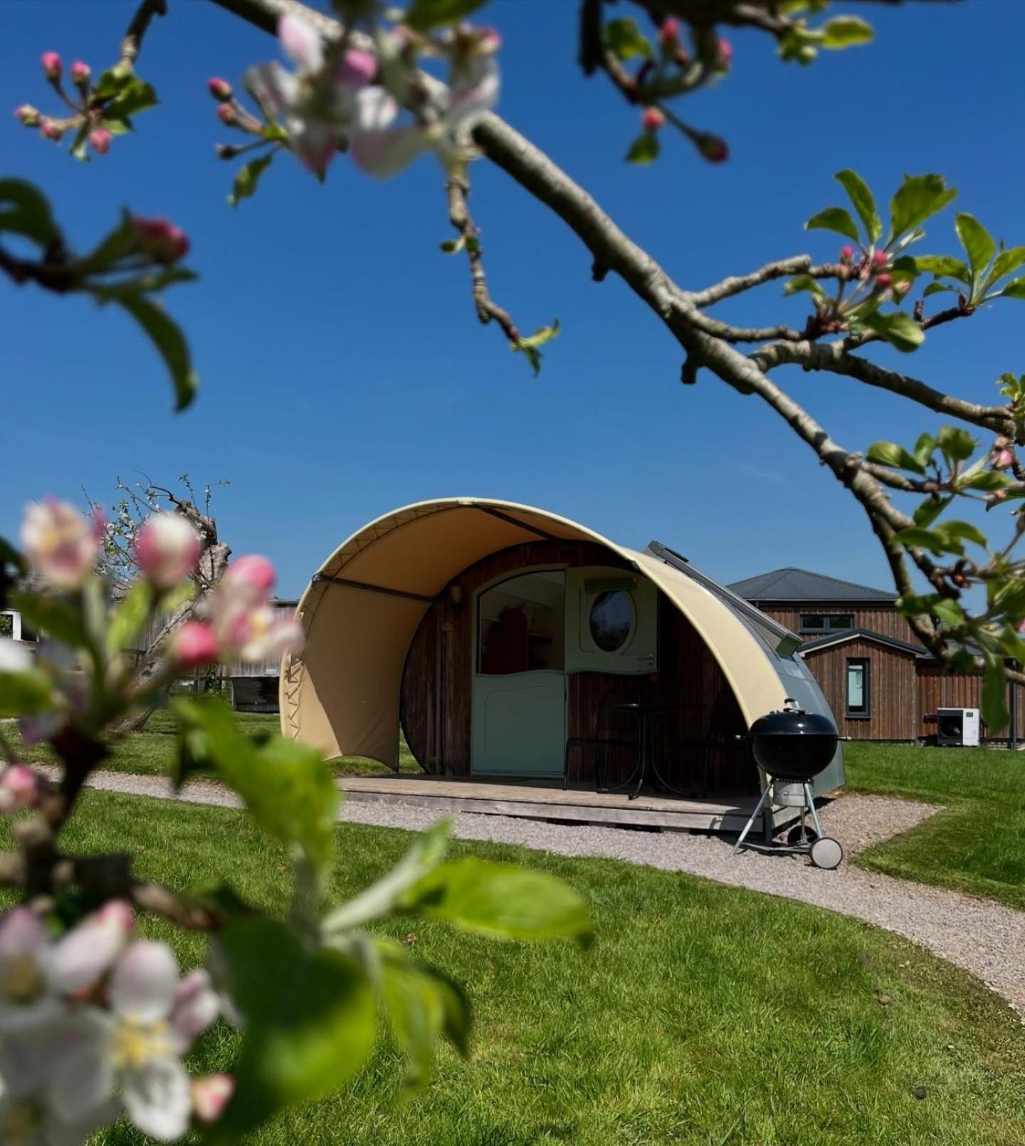 Middlewick Holiday Cottages Glastonbury Bagian luar foto